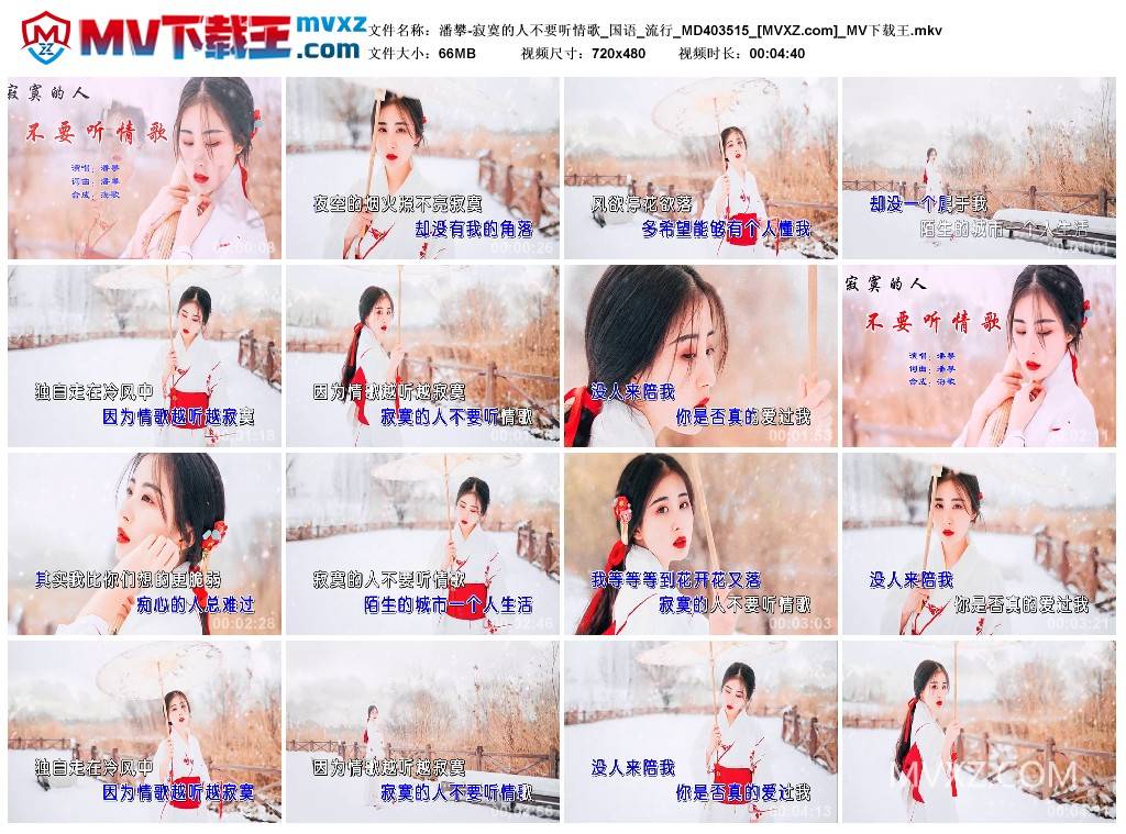 潘攀-寂寞的人不要听情歌_国语_流行_MD403515